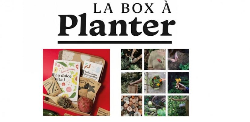 La Box à planter : La première box jardinage bio 100% made in France